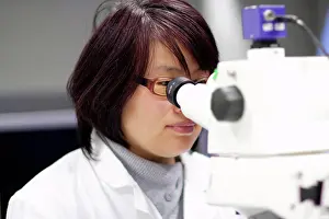 Laboratory Equipment Use Stampe: Scientist using microscope in lab