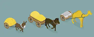 Agricultural Transportation Stampe: 3D Isometric Flat Vector Set of Draft Animals