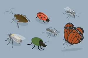 Outdoor Wildlife Photography Stampe: 3D Isometric Flat Vector Set of Insects
