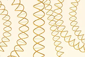 Deoxyribonucleic Acid Stampe: 3d rendering of DNA (deoxyribonucleic acid) structure