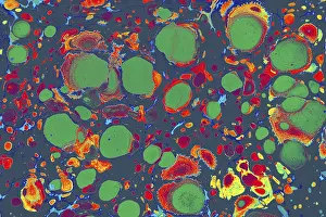 Empty Desert Landscape Stampe: Abstract creative marble pattern texture