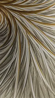 Abstract Feather Background Stampe: Abstract feather background - computer-generated image