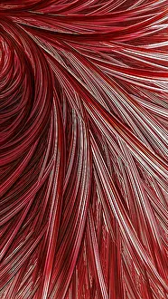 Fractal Geometry Images Stampe: Abstract feather background - computer-generated image