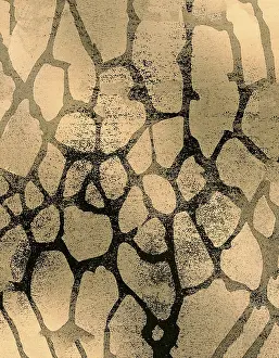 Cracked Earth Texture Stampe: Abstract pattern featuring organic