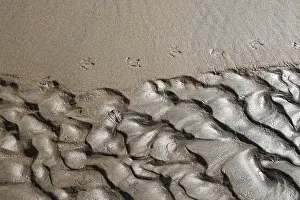 Scandinavian Landscape Stampe: Abstract sand pattern background