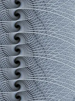 Abstract Fractal Geometry Stampe: Abstract texture: twisted yarns and spirals computer-generated image