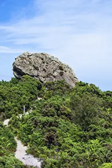 England Coastline Stampe: Agglestone Rock, Devil's Anvil