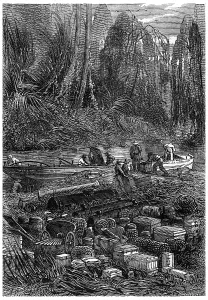 Stampe di Tutti questi oggetti sono stati collocati sulla riva, illustrazione incisa in epoca vittoriana. Jules Verne 3 russi e 3 inglesi, 1872 Jules Verne Stampe: Tutti questi oggetti sono stati posti sulla riva.