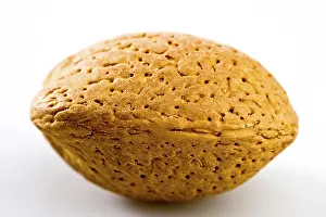 Indoor Studio Photography Stampe: Almond nut