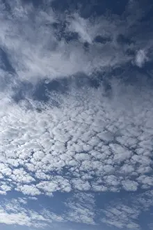 Weather Forecast Germany Stampe: Altocumulus clouds (Altocumulus)
