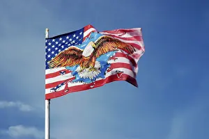 American Flag Stampe: American flag, eagle