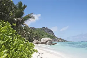 Sculpted Rock Formations Stampe: Anse Source dArgent Beach