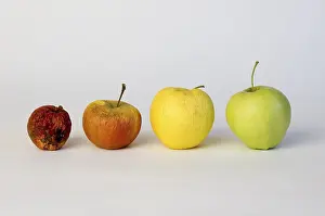 Symbolic Apple Image Stampe: Apple aplples