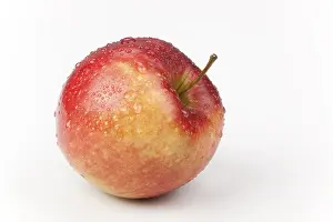 Healthy Eating Food Stampe: Apple (Malus)