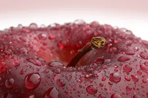 Fresh Red Fruit Stampe: Apple with waterdrops