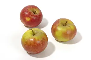 Healthy Eating Meals Stampe: Apples