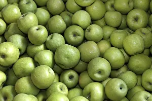 Stampa con cornice : Apples