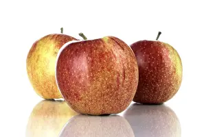 Studio Shot Fruit Photography Stampe: Apples (Malus)