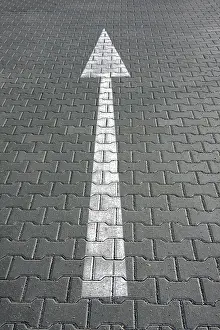 Uninhabited Places Stampe: Arrow