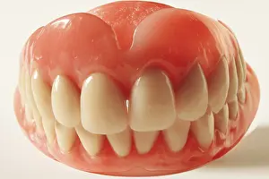 Dental Prosthesis Stampe: Artificial denture