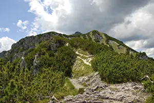 Bavarian Alps Landscape Stampe: Ascent, path to the summit, Mt