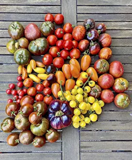 Open Air Produce Stampe: Assorted colourful tomatoes