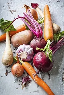 Grocery Produce Stampe: Assorted types of root vegetables