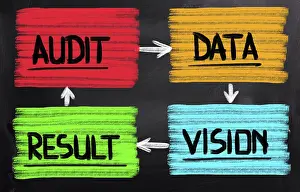 Financial Auditor Stampe: Audit Concept