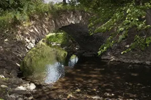 Nature Reserve Germany Stampe: Aumatal, Germany, Greiz, Thuringia