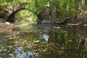 German Nature Reserve Stampe: Aumatal, Germany, Greiz, Thuringia