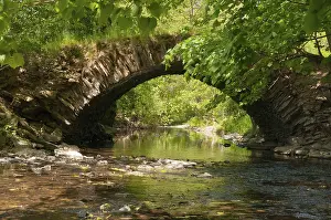 German Nature Reserve Stampe: Aumatal, Germany, Greiz, Thuringia