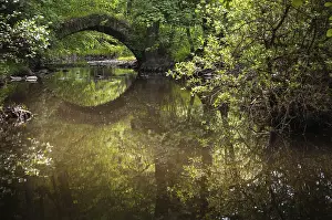 German Nature Reserve Stampe: Aumatal, Germany, Greiz, Thuringia