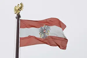 Austrian Flag Stampe: Austrian flag