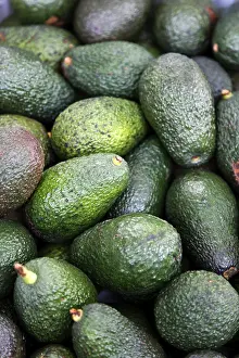 Avocado Nutrition Stampe: Avocado