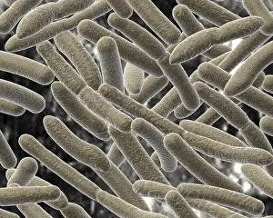 Blurred Background Stampe: Bacillus on blurred background