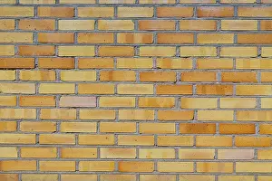 Deserted Brick Wall Background Stampe: Background of brick wall texture. Close up