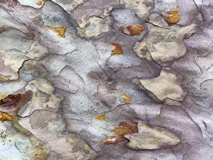 Colorful Sandstone Formations Stampe: Background, color pattern in sandstone
