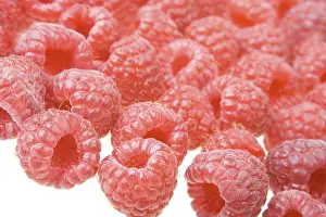 Fresh Fruit Photography Stampe: Background of raspberry