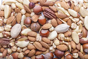 Studio Shot Of Nuts Stampe: Background and texture made from different kinds of nuts