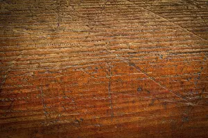 Grunge Wood Background Stampe: Background texture of grained, scratched