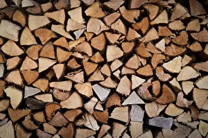 Uninhabited Forest Landscape Photo Stampe: Background Texture Of Stacked Split Wood For Fire