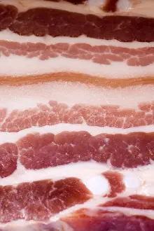 Diet Food Photography Stampe: Bacon