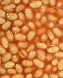 Close Up Bean Images Stampe: Baked beans