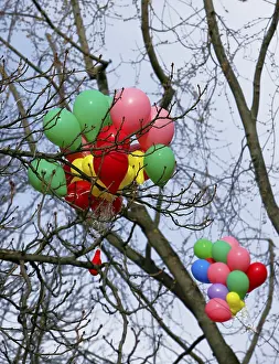 Colourful Outdoor Scene Stampe: Balloons caught in a tree