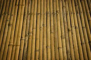 Deserted Bamboo Scene Stampe: Detail of bamboo surface