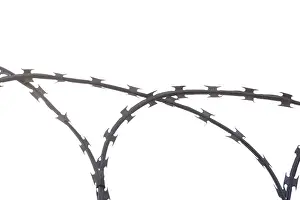 Captive Animal Stampe: Barbed wire