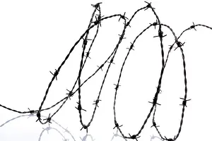 Barbed Wire Fence Stampe: Barbed wire
