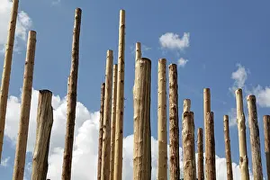 Deserted Tree Landscape Stampe: Bare tree trunks
