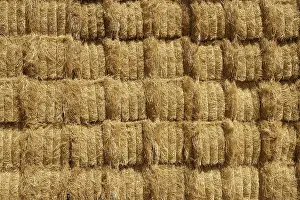Deserted Barn Stampe: Barn with square shape stack on columns outdoor cereal texture