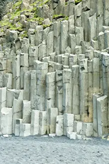 Basalt Columns Iceland Stampe: Basalt columns, cave Halsanefshellir
